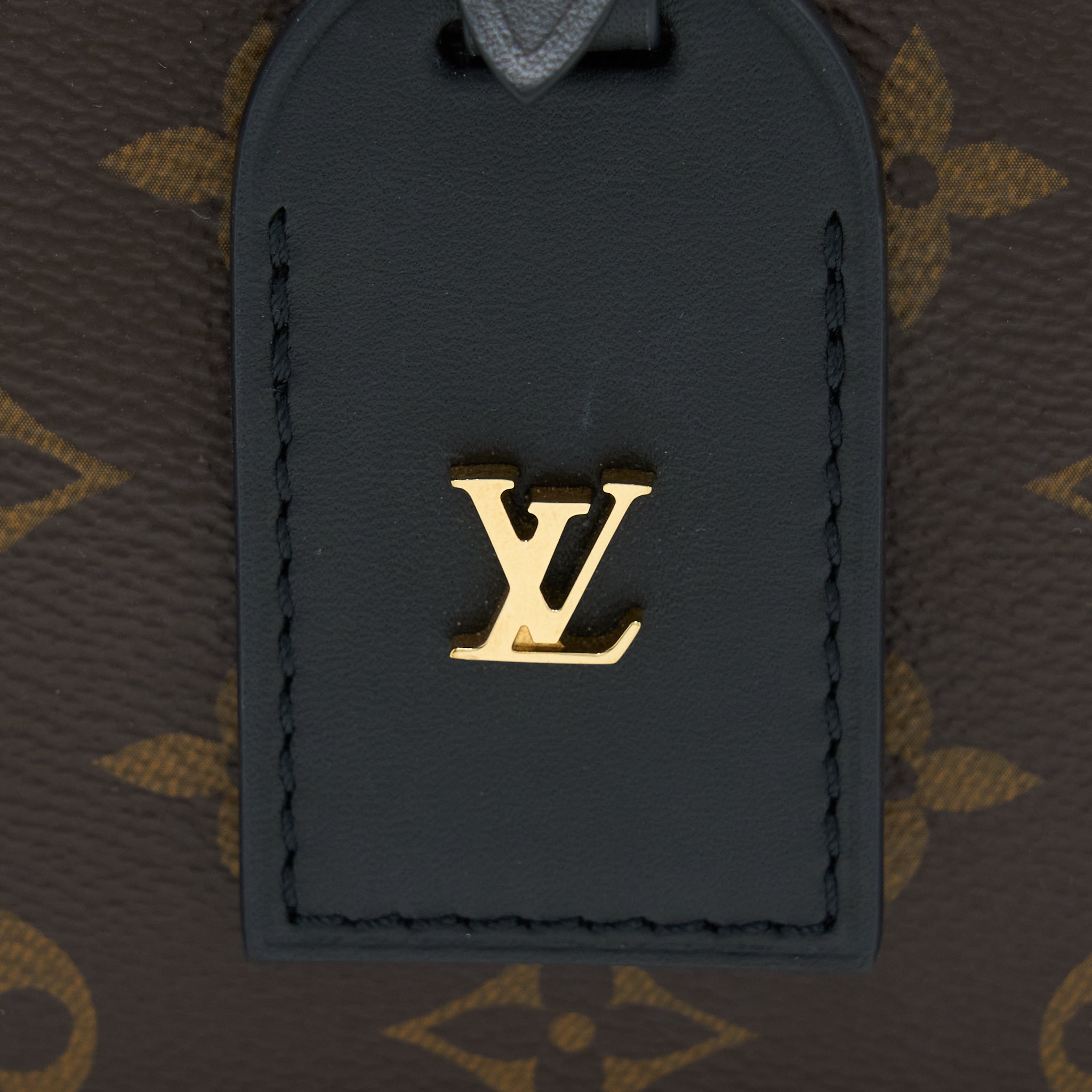 AAA Replica Louis Vuitton LV PETITE MALLE SOUPLE MONOGRAM CANVAS GHW