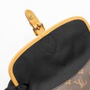 AAA Replica Louis Vuitton LV DIANE BAG WITH JACQUARD STRAP MONOGRAM CANVAS GHW