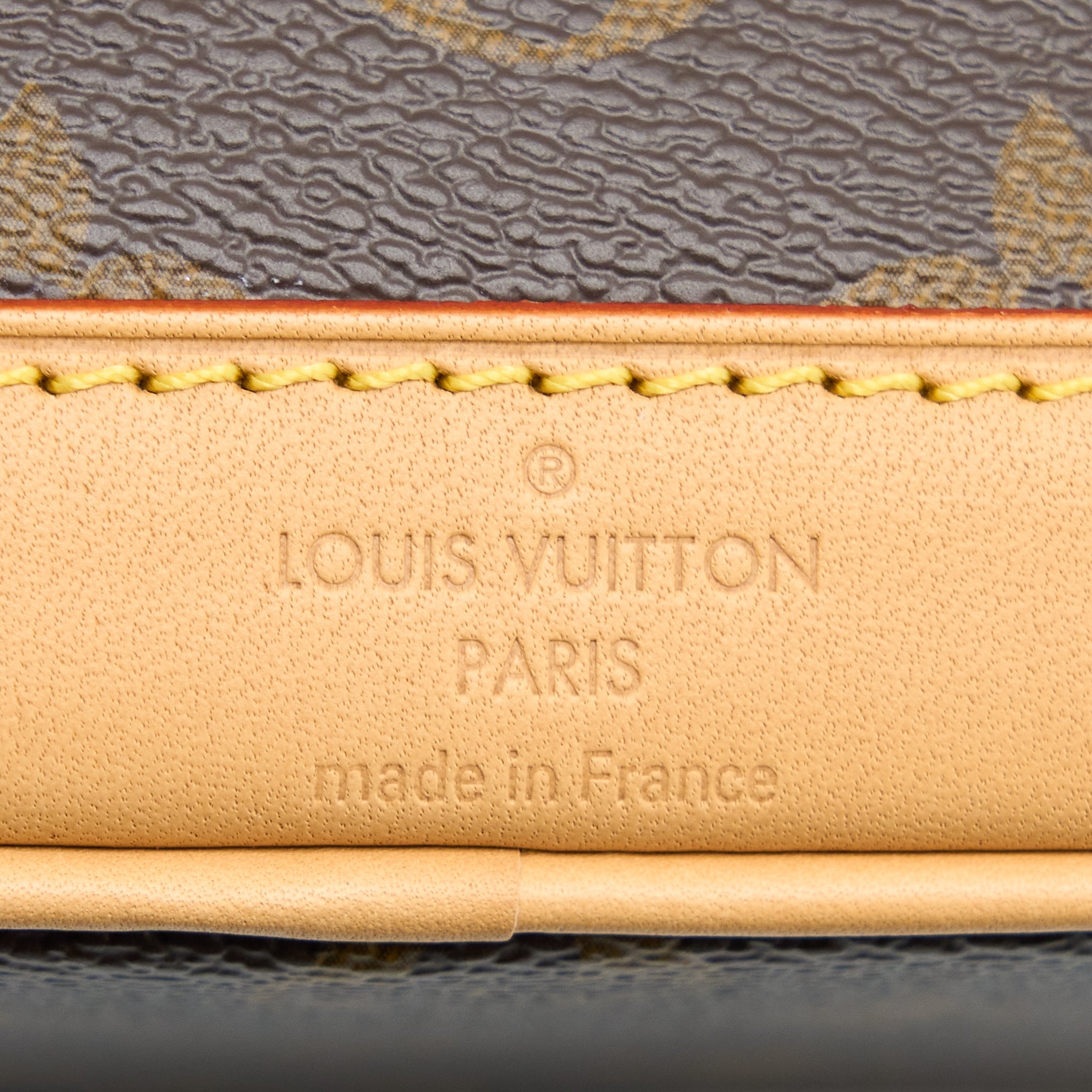 AAA Replica Louis Vuitton LV NANO NOE MONOGRAM CANVAS GHW