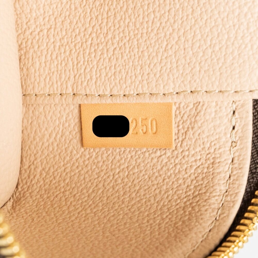 AAA Replica Louis Vuitton LV NICE NANO MONOGRAM CANVAS GHW