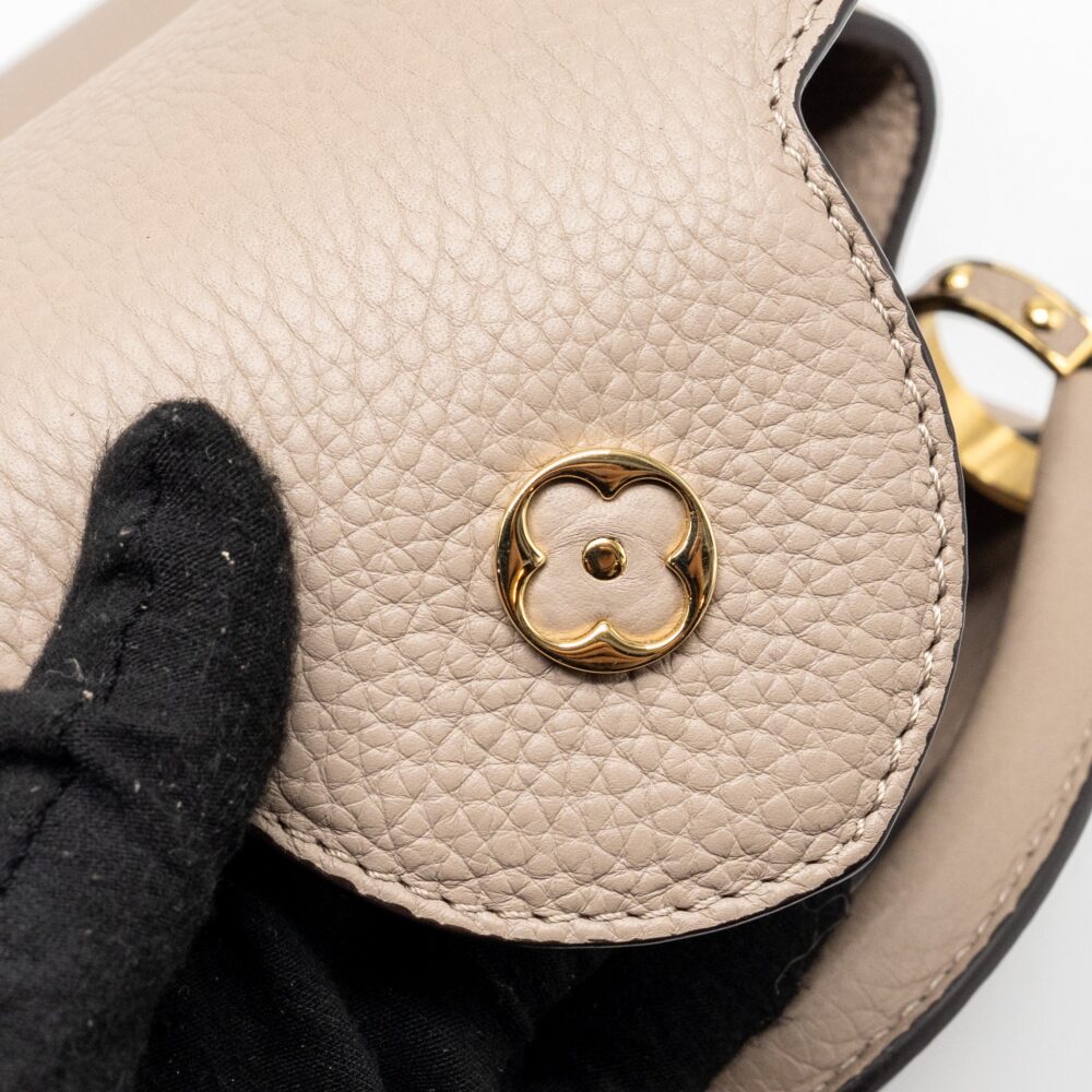 AAA Replica Louis Vuitton LV CAPUCINES BB TAURILLON GALET GHW