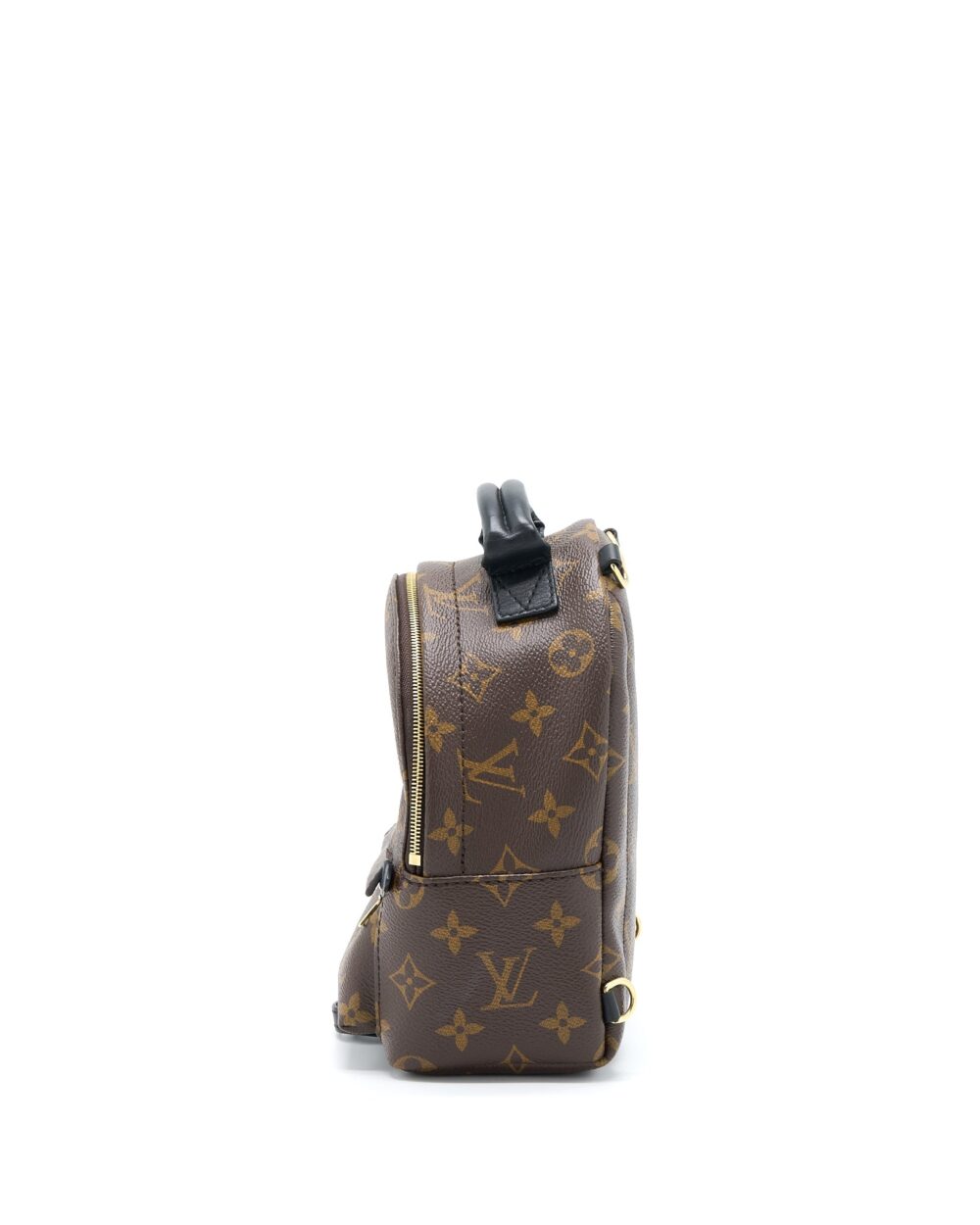 AAA Replica Louis Vuitton LV PALM SPRING MINI BACKPACK MONOGRAM CANVAS GHW