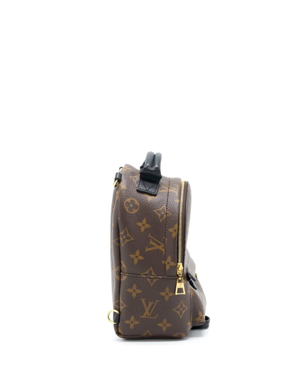 AAA Replica Louis Vuitton LV PALM SPRING MINI BACKPACK MONOGRAM CANVAS GHW