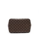 AAA Replica Louis Vuitton LV NEO NOE IN DAMIER EBENE/YELLOW