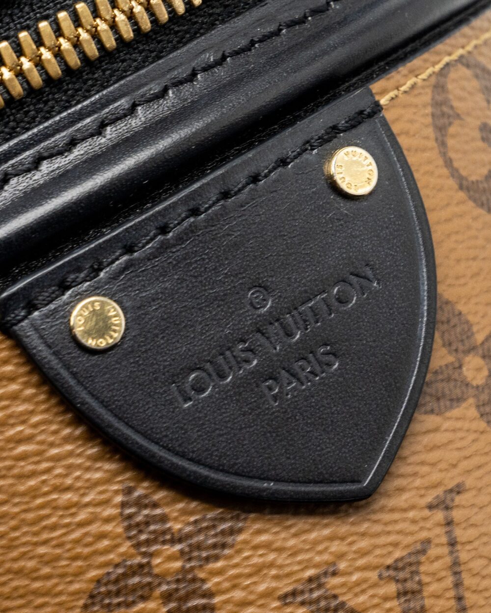 AAA Replica Louis Vuitton LV CANNES MONOGRAM REVERSE CANVAS GHW