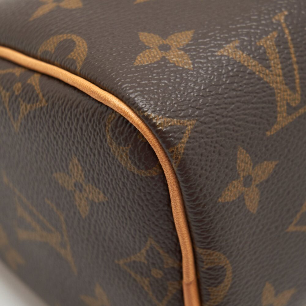 AAA Replica Louis Vuitton LV NANO SPEEDY MONOGRAM