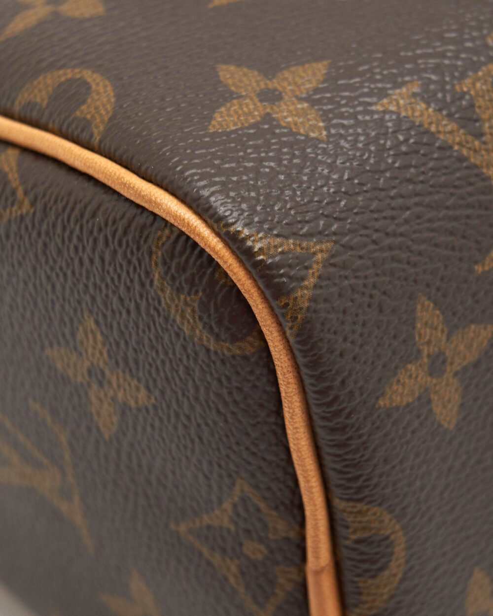 AAA Replica Louis Vuitton LV NANO SPEEDY MONOGRAM
