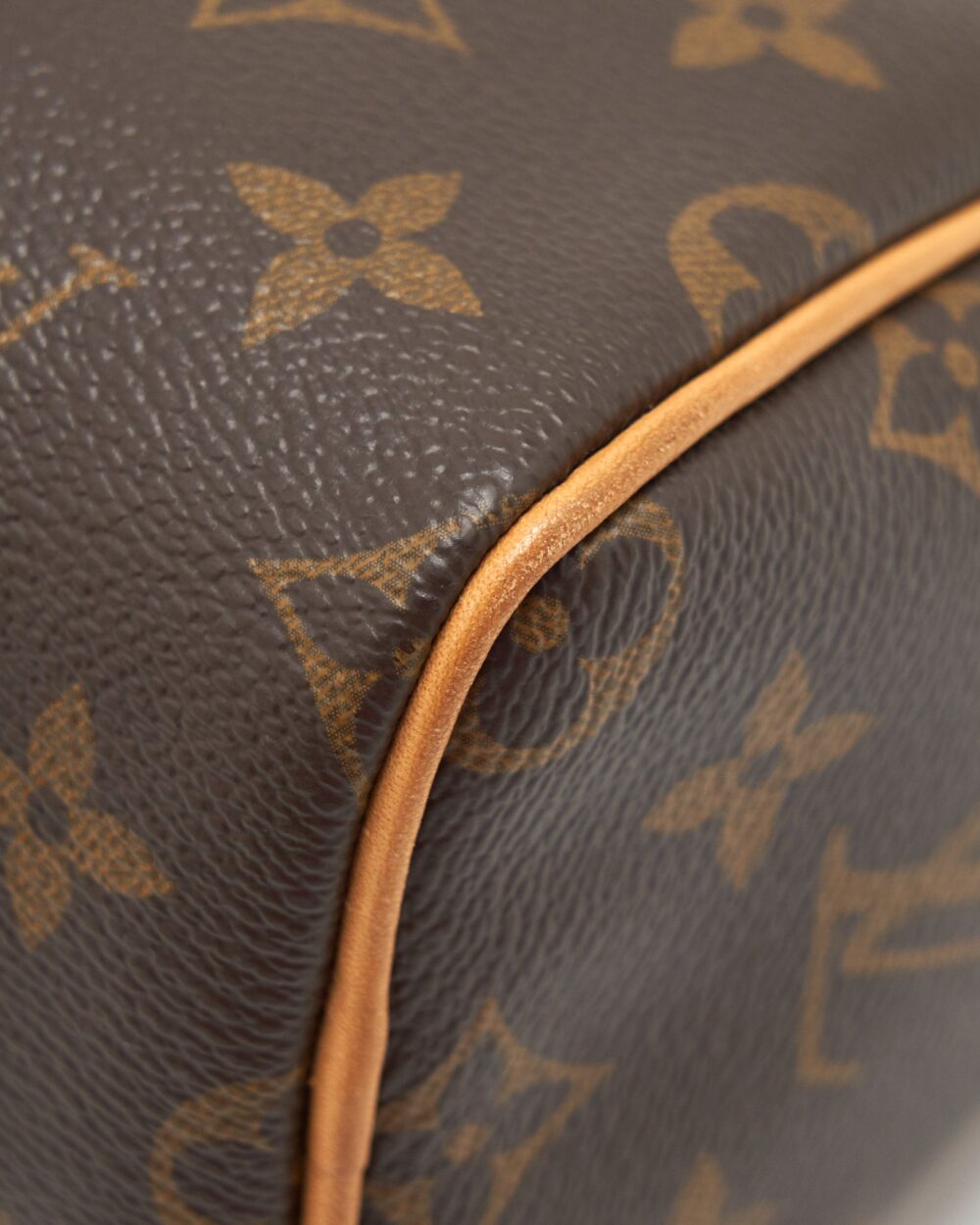 AAA Replica Louis Vuitton LV NANO SPEEDY MONOGRAM