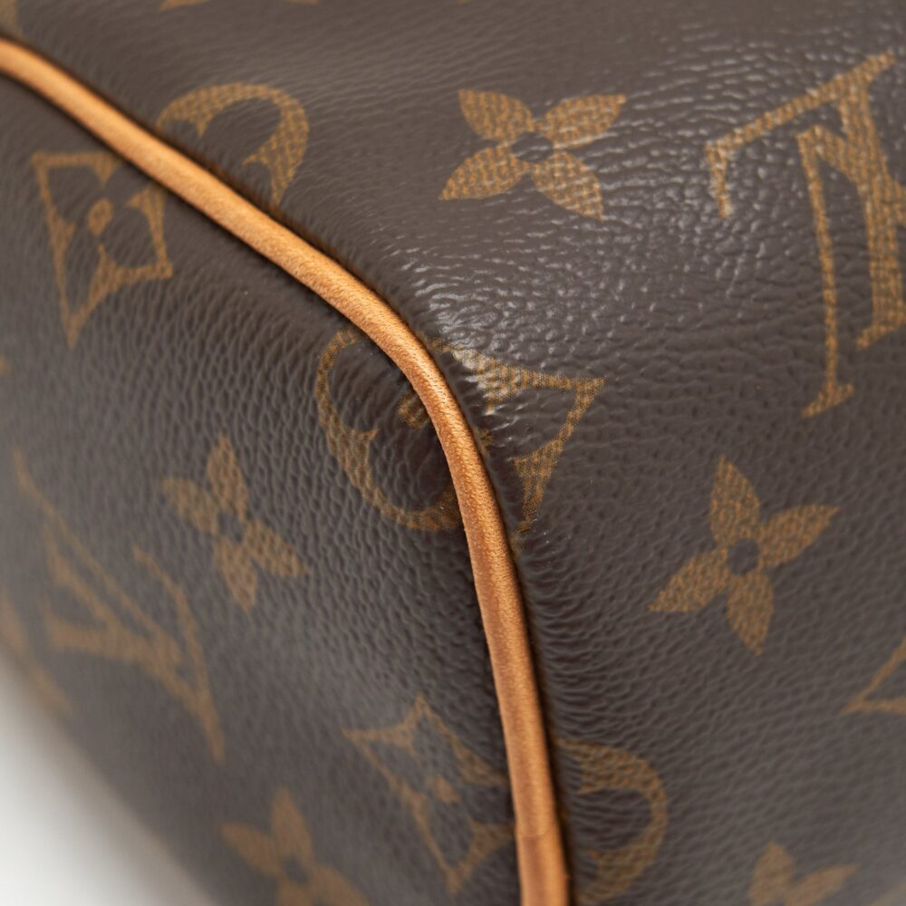 AAA Replica Louis Vuitton LV NANO SPEEDY MONOGRAM