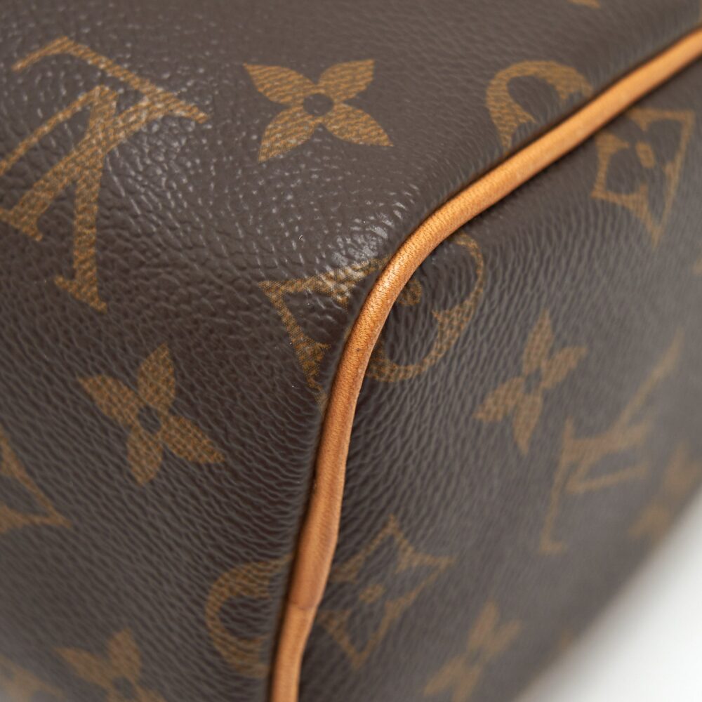 AAA Replica Louis Vuitton LV NANO SPEEDY MONOGRAM