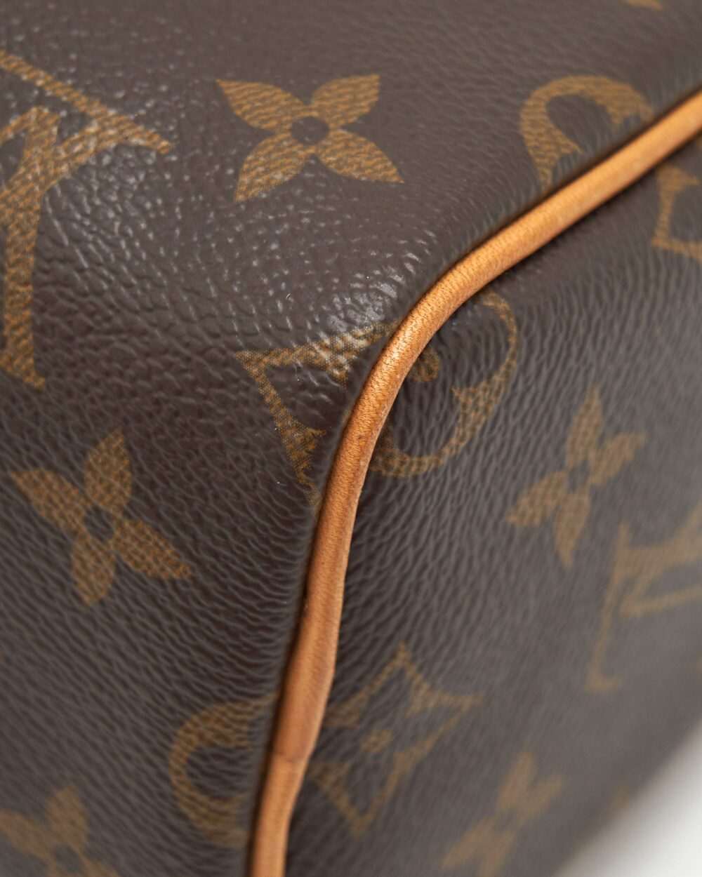 AAA Replica Louis Vuitton LV NANO SPEEDY MONOGRAM