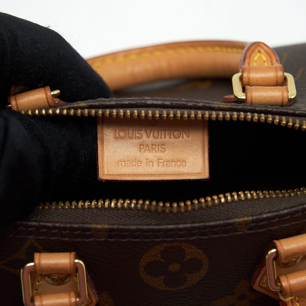 AAA Replica Louis Vuitton LV NANO SPEEDY MONOGRAM