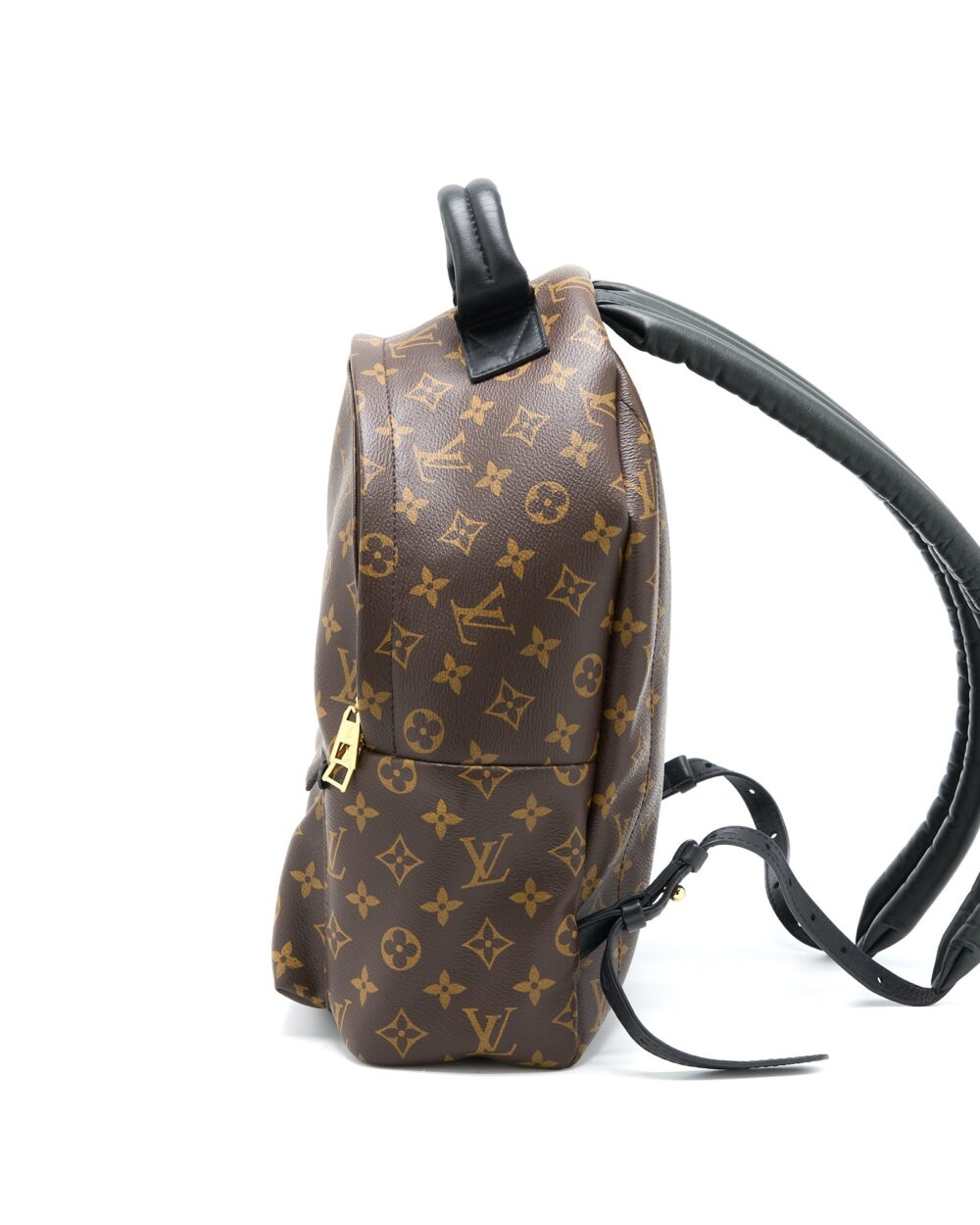 AAA Replica Louis Vuitton LV PALM SPRING BACKPACK MM MONOGRAM CANVAS GHW