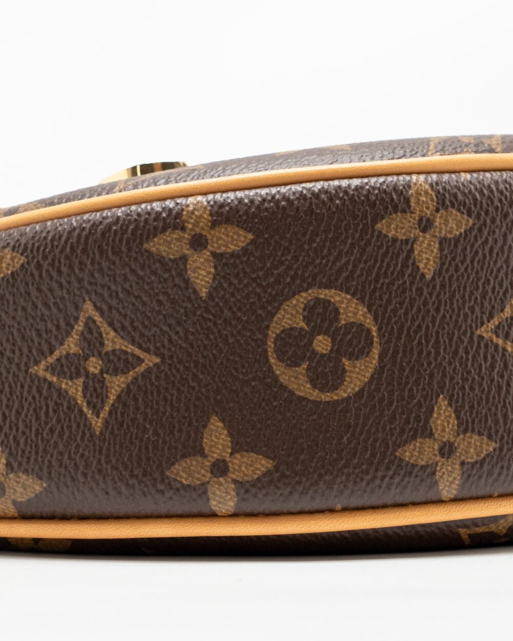 AAA Replica Louis Vuitton LV LOOP BAG MONOGRAM CANVAS GHW