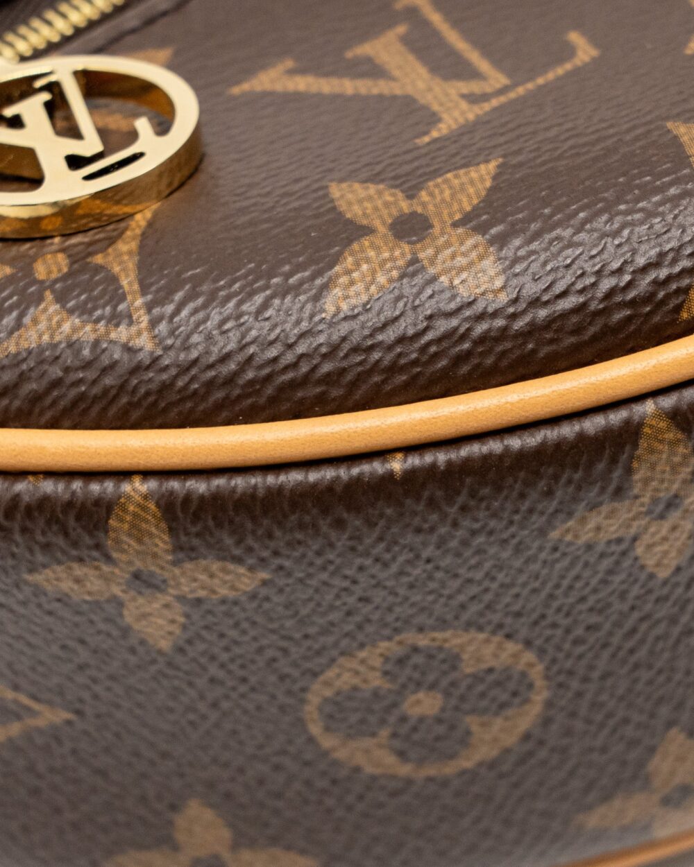 AAA Replica Louis Vuitton LV LOOP BAG MONOGRAM CANVAS GHW