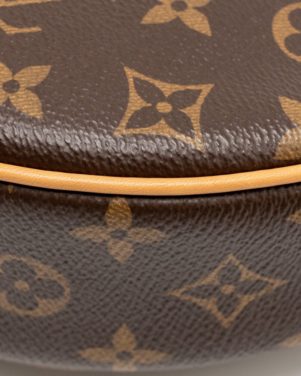 AAA Replica Louis Vuitton LV LOOP BAG MONOGRAM CANVAS GHW