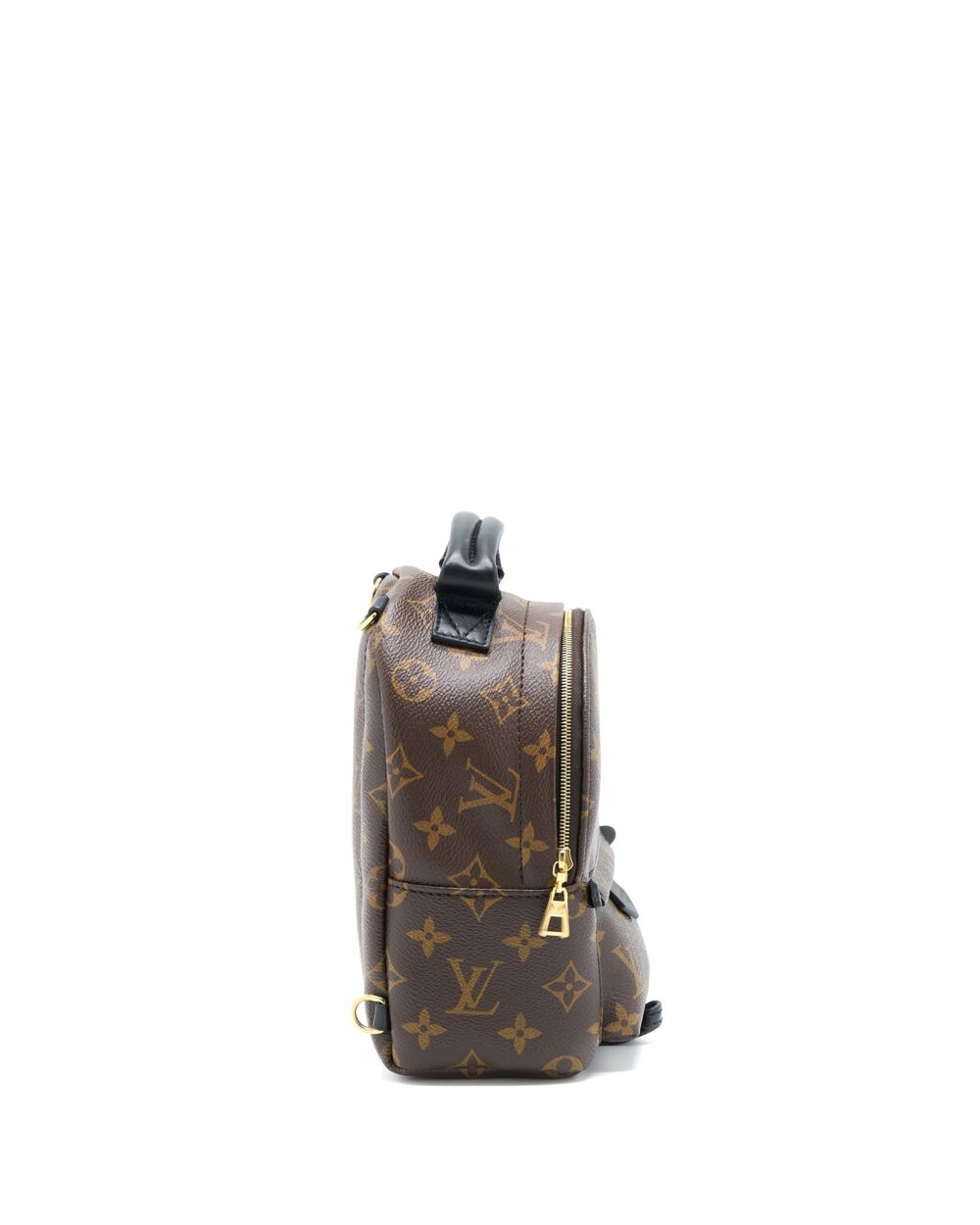 AAA Replica Louis Vuitton LV MINI PALM SPRING BACKPACK MONOGRAM CANVAS GHW