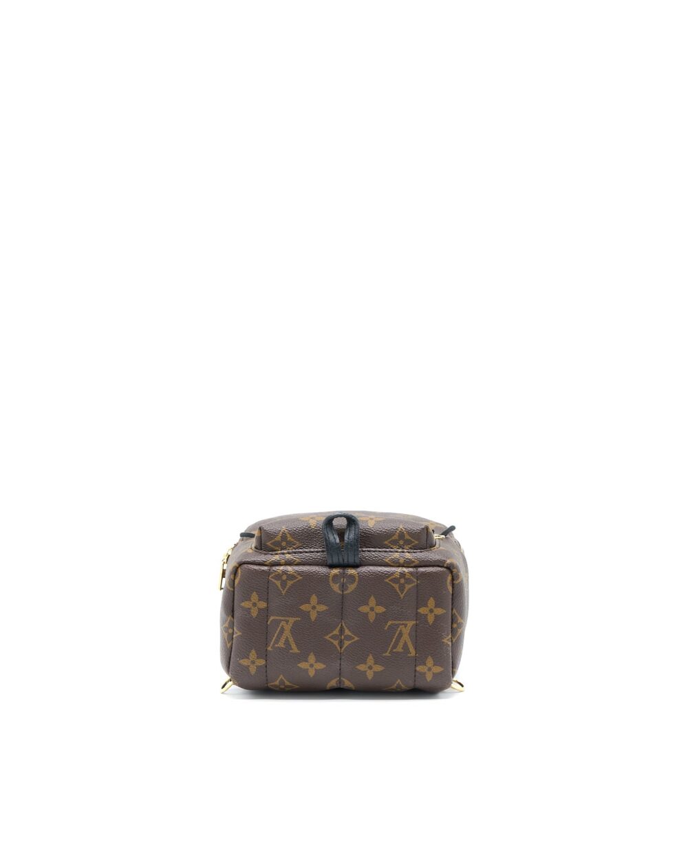 AAA Replica Louis Vuitton LV MINI PALM SPRING BACKPACK MONOGRAM CANVAS GHW