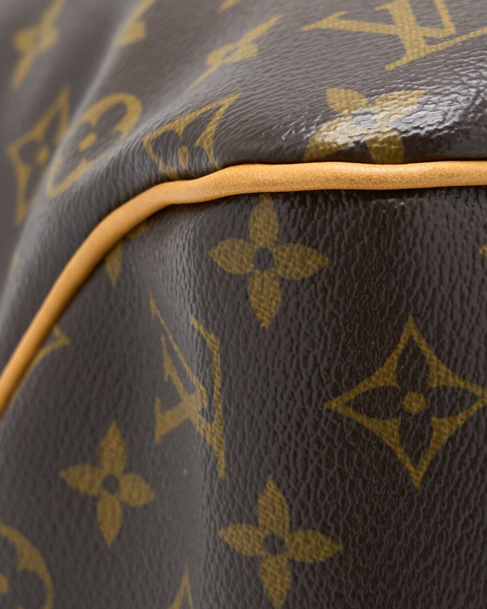 AAA Replica Louis Vuitton LV DELIGHTFUL MM MONOGRAM CANVAS GHW