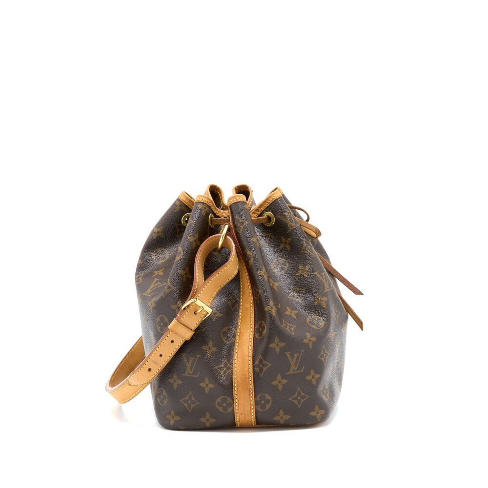 AAA Replica Louis Vuitton LV PETIT NEO BAG MONOGRAM CANVAS GHW
