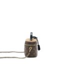 AAA Replica Louis Vuitton LV VANITY PM MONOGRAM CANVAS GHW (NEW VERSION)