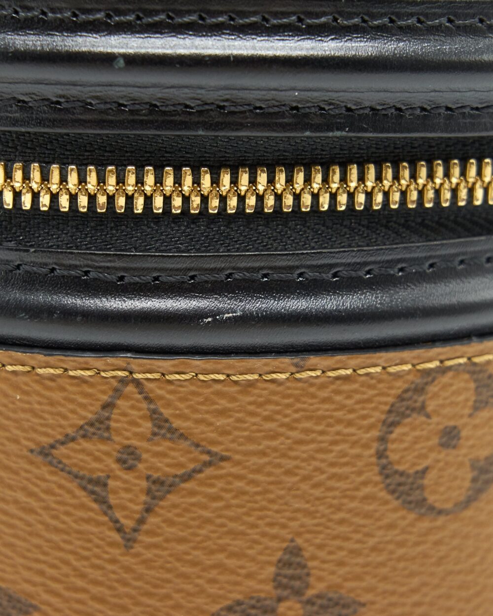 AAA Replica Louis Vuitton LV CANNES MONOGRAM REVERSE CANVAS