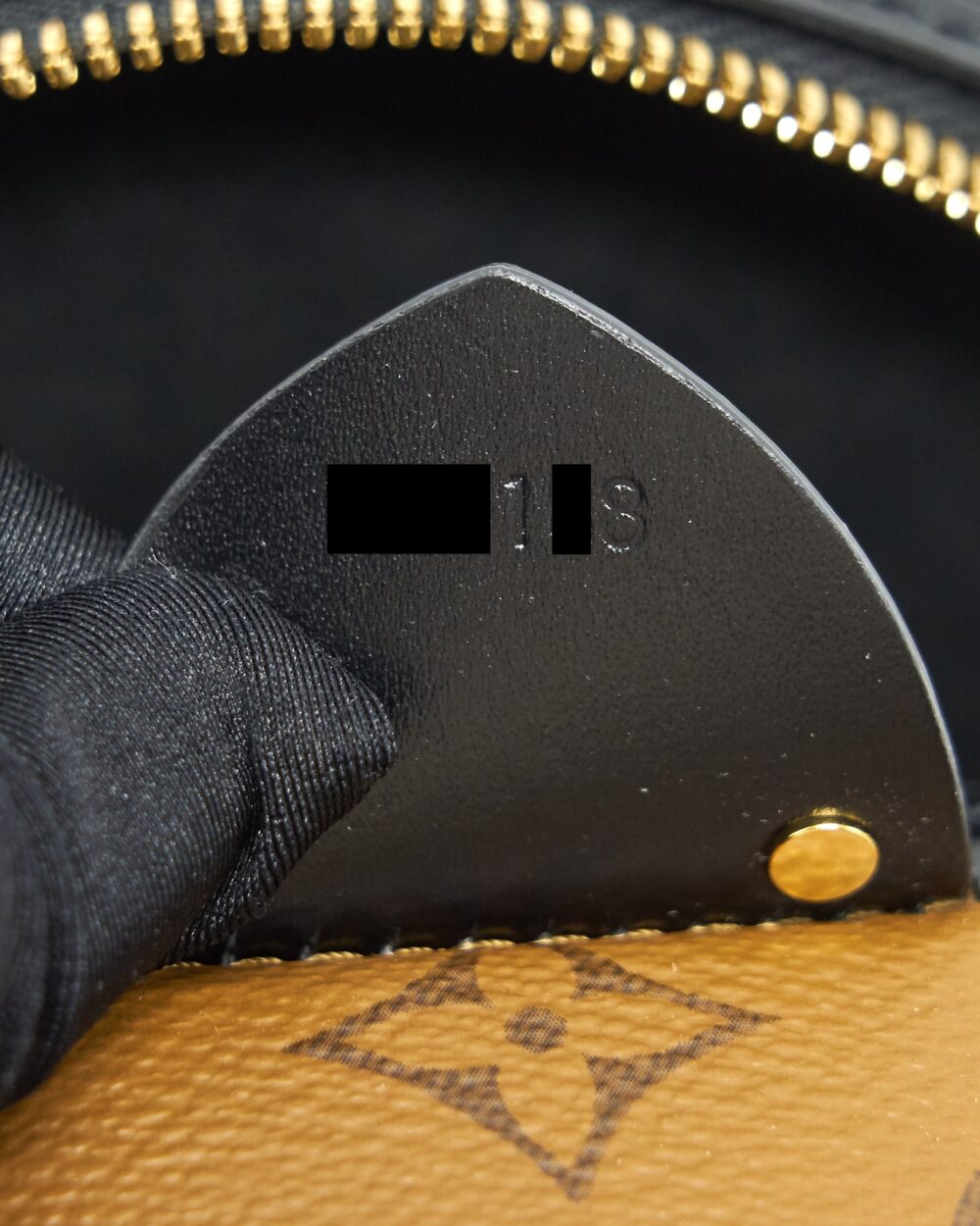 AAA Replica Louis Vuitton LV CANNES MONOGRAM REVERSE CANVAS