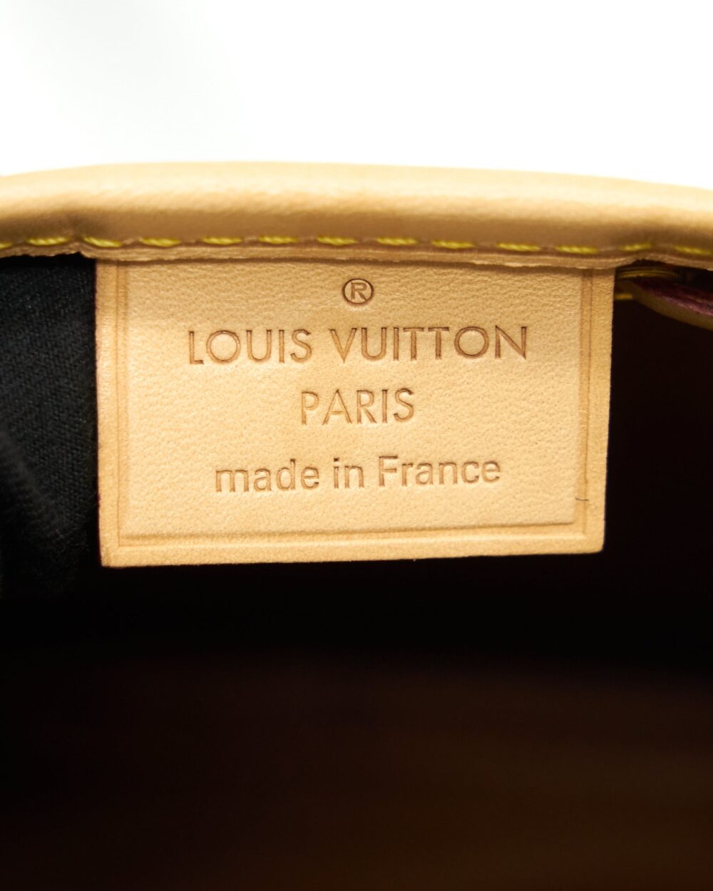 AAA Replica Louis Vuitton LV NANO NOE