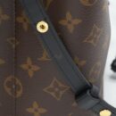 AAA Replica Louis Vuitton LV NEO NOE MM MONOGRAM