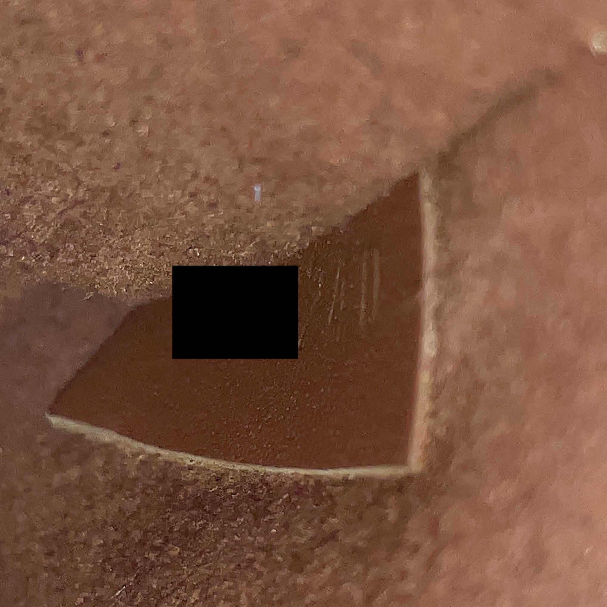 AAA Replica Louis Vuitton LV NEONOE MONOGRAM CANVAS CARAMEL GHW
