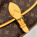 AAA Replica Louis Vuitton LV DIANE BAG WITH FUCHSIA STRAP MONOGRAM CANVAS GHW