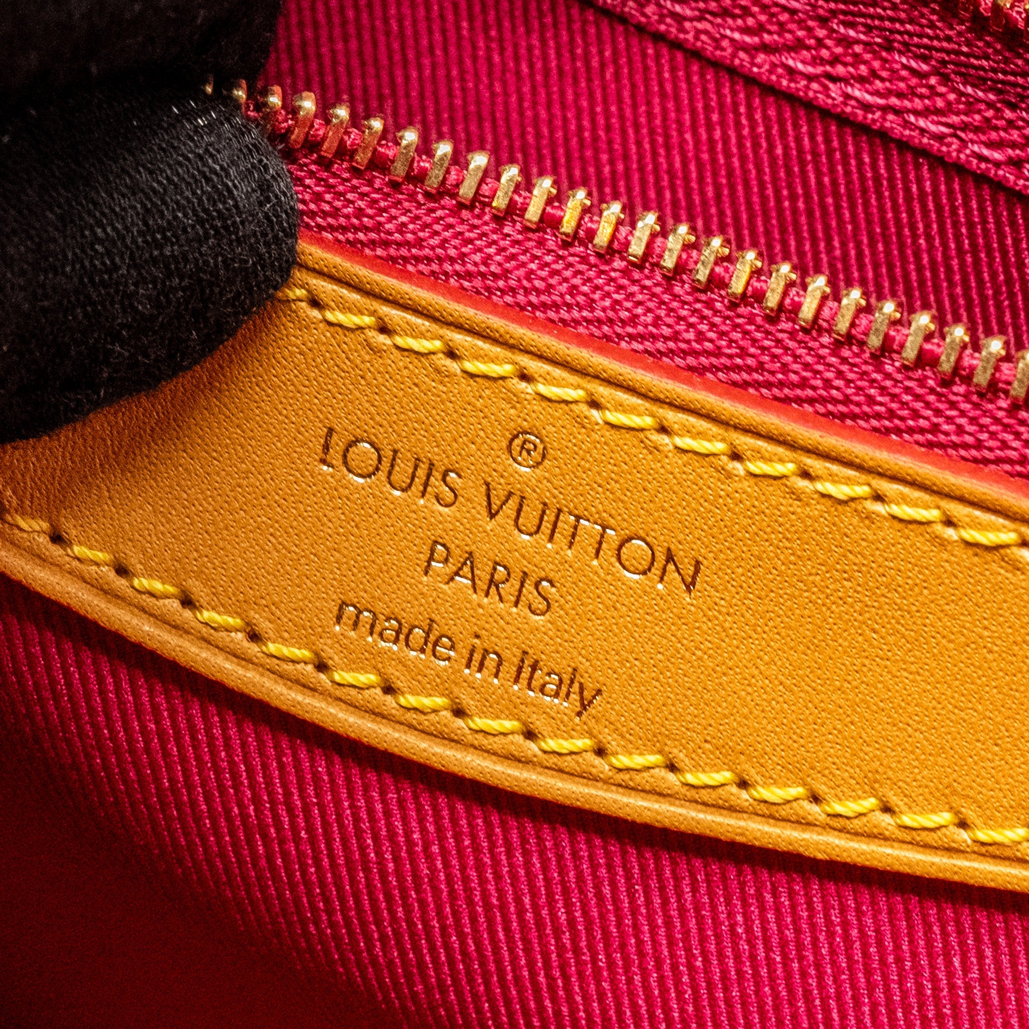 AAA Replica Louis Vuitton LV DIANE BAG WITH FUCHSIA STRAP MONOGRAM CANVAS GHW