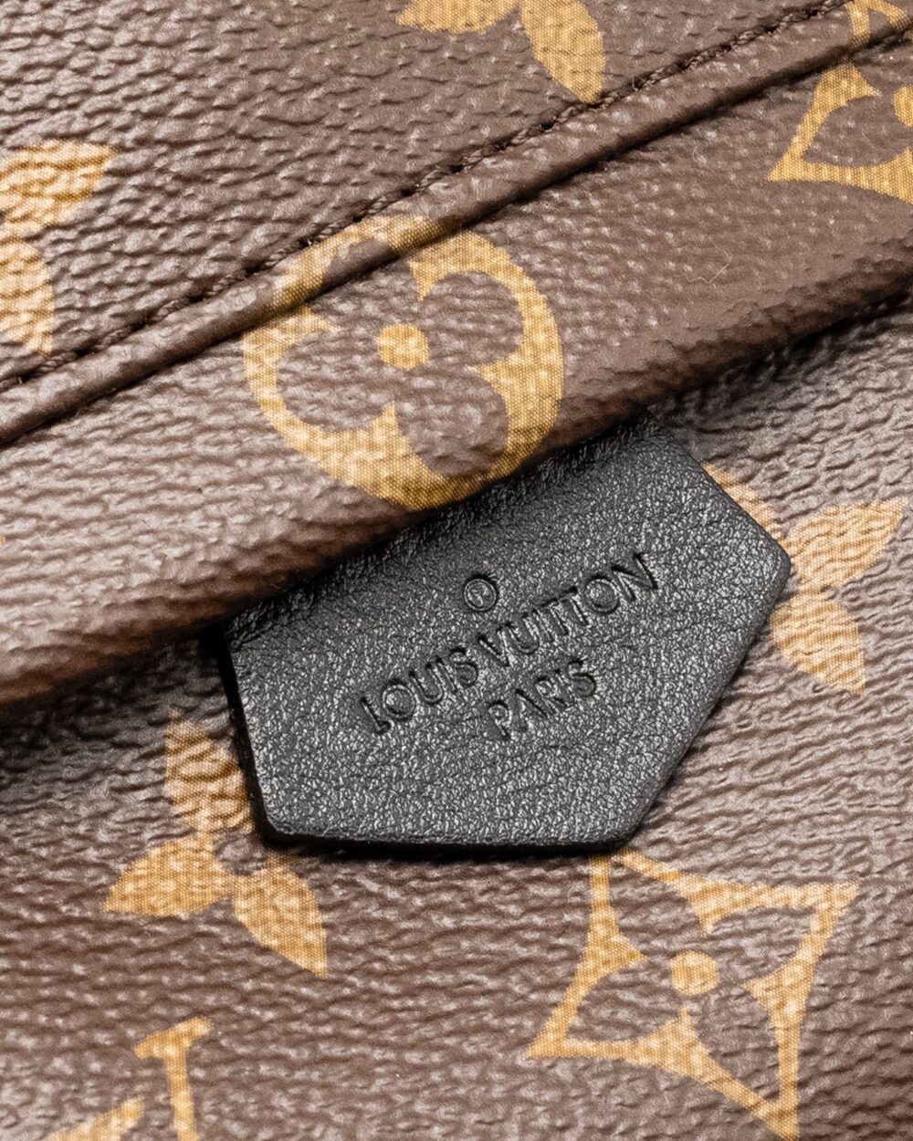 AAA Replica Louis Vuitton LV MINI PALM SPRING BACKPACK MONOGRAM CANVAS GHW