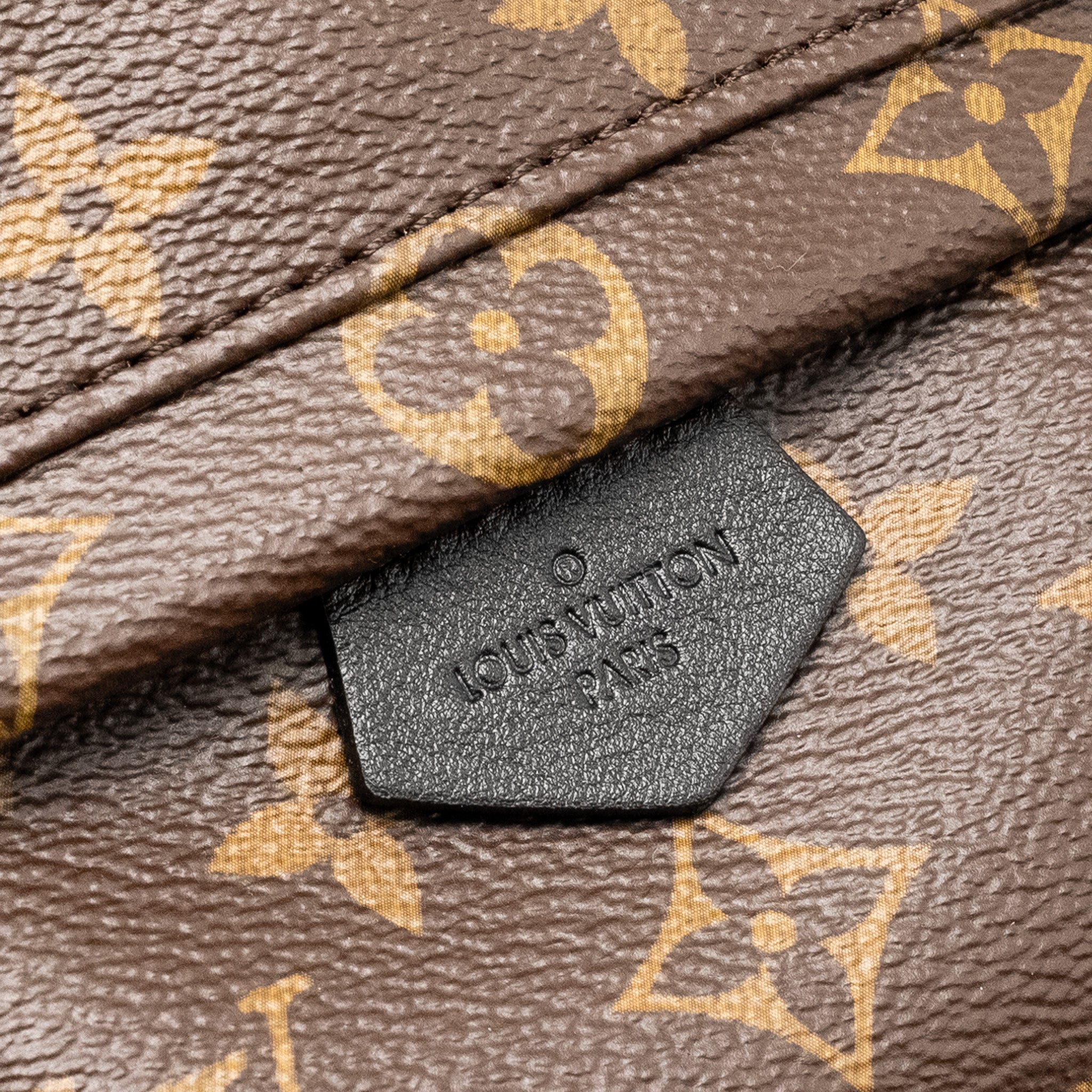 AAA Replica Louis Vuitton LV MINI PALM SPRING BACKPACK MONOGRAM CANVAS GHW
