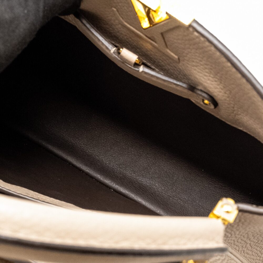 AAA Replica Louis Vuitton LV CAPUCINES PM CALFSKIN GREY GHW