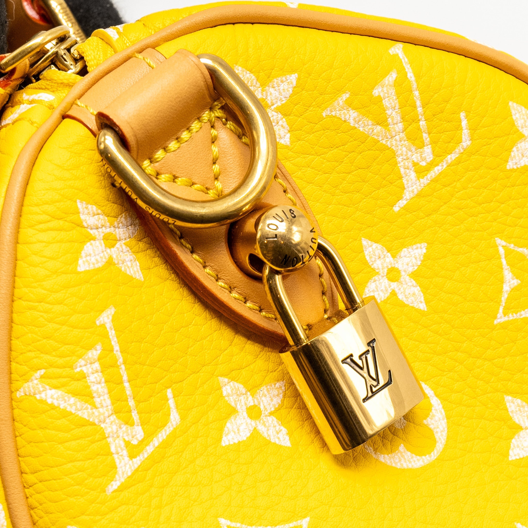 AAA Replica Louis Vuitton LV SPEEDY P9 BANDOULIÈRE 25 MONOGRAM SOFT CALFSKIN JAUNE MAT GHW