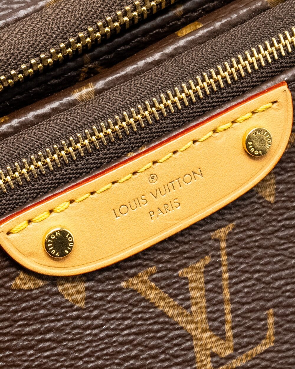 AAA Replica Louis Vuitton LV MINI BUMBAG MONOGRAM CANVAS GHW