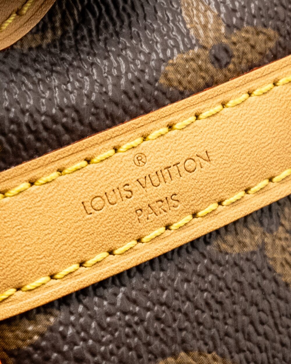 AAA Replica Louis Vuitton LV NOE PURSE MONOGRAM CANVAS GHW