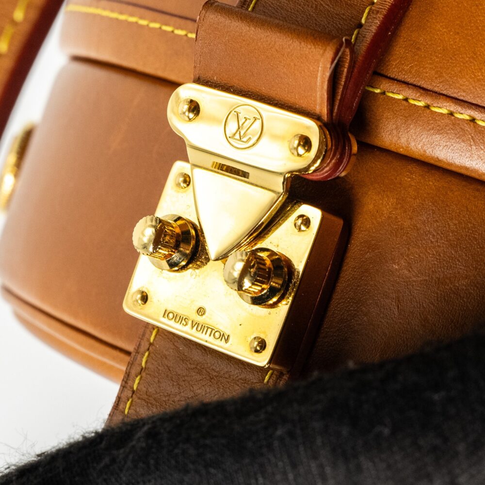 AAA Replica Louis Vuitton LV BOITE CHAPEAU BAG LIMITED EDITION GRACE CODDINGTON CATOGRAM PETIT CALFSKIN BROWN GHW